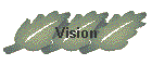 Vision